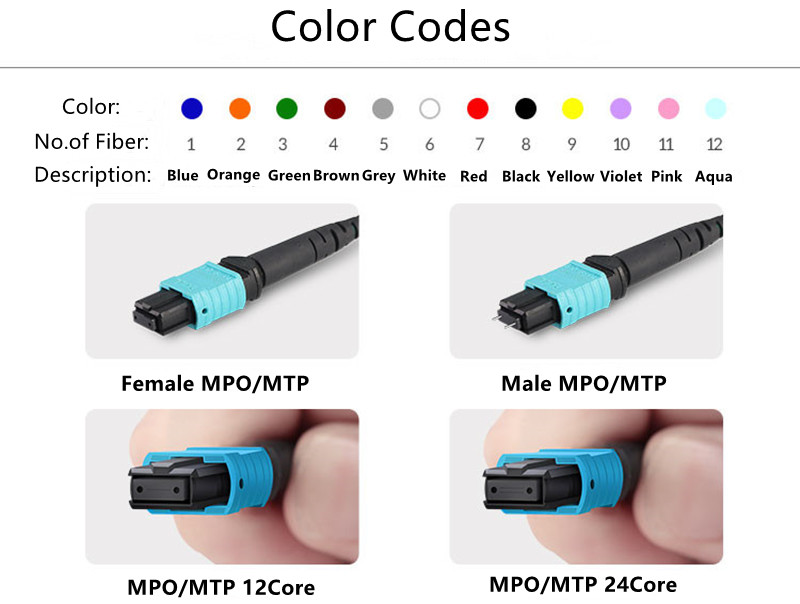 MPO MTP in Female Male