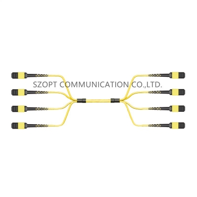 MPO MTP Multicore Trunk Cable